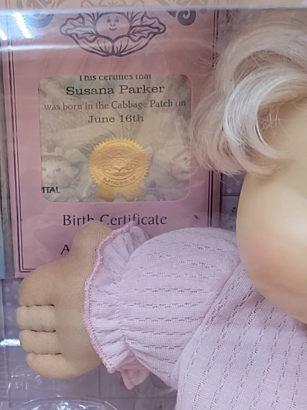 Cabbage Patch Kids 2005 pa